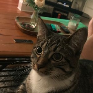 Meet your Posher, John